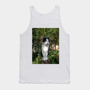 Robby the cat Tank Top
